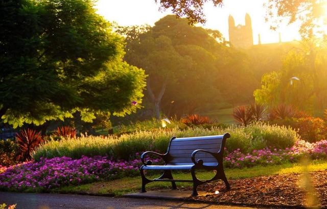 1590399099635727.jpg 金輝集團(tuán)項(xiàng)目示意圖