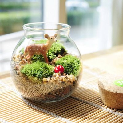 1593512171856016.png 金輝優(yōu)步學(xué)府奇趣微景觀DIY示意圖