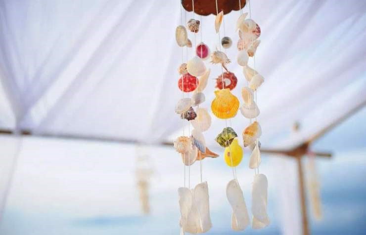 1597304647890208.jpg 1.jpg