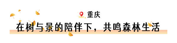 1665454759461773.jpg 5組22(1).jpg